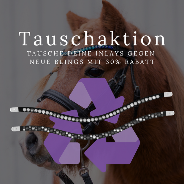 Bling Pony Tauschaktion