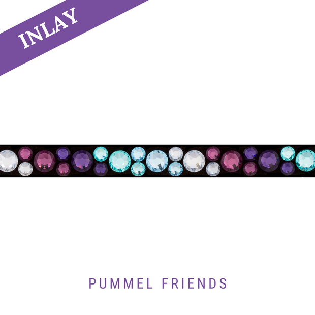 Pummel Friends Inlay Classic