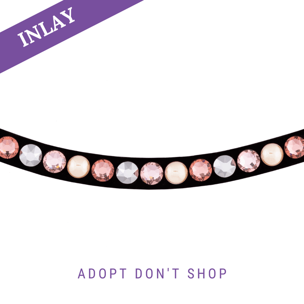 Adopt don`t Shop Inlay Swing