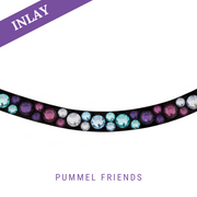 Pummel Friends Inlay Swing